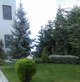 Συντήρηση κήπου οικίας στους Θρακομακεδόνες (2017)